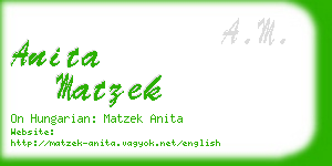 anita matzek business card